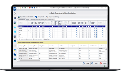 data cleansing vs standardization